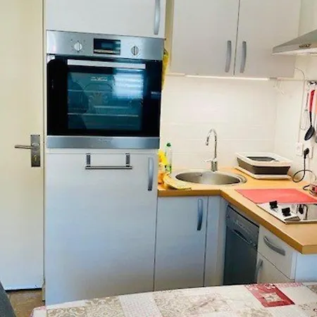 F2 A Amelie-les-bains Avec Parking, Ascenseur Et Equipements Complets - Fr-1-703-24
