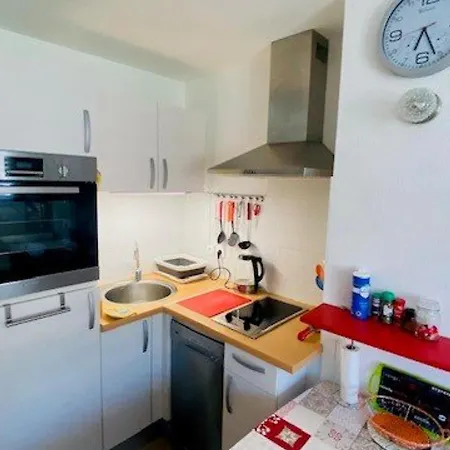 F2 A Amelie-les-bains Avec Parking, Ascenseur Et Equipements Complets - Fr-1-703-24 Апартаменты *