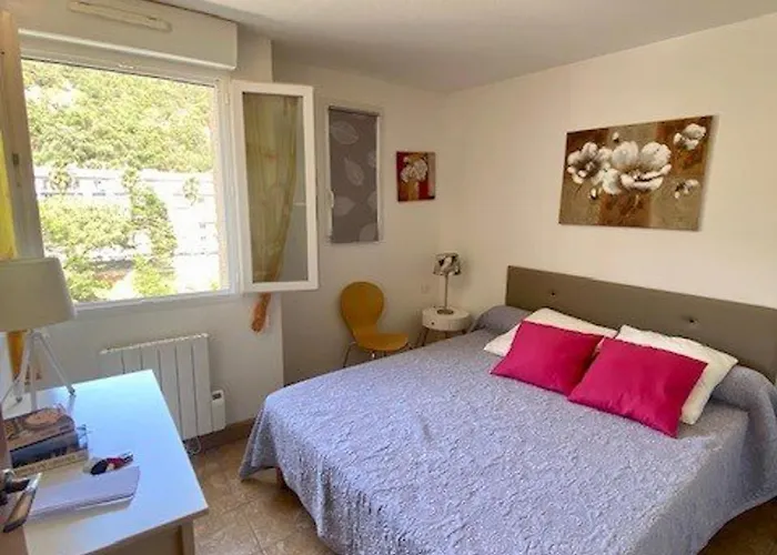 Apartamento F2 à Amélie-les-bains Avec Parking, Ascenseur Et équipements Complets - Fr-1-703-24