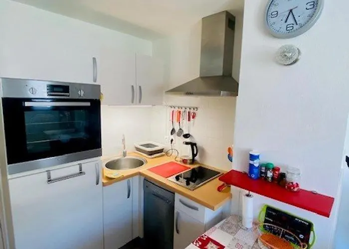 F2 à Amélie-les-bains Avec Parking, Ascenseur Et équipements Complets - Fr-1-703-24 Apartamento *